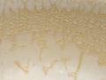 Coffee foam. Coffee foam. Fabstract spotted background Royalty Free Stock Photo