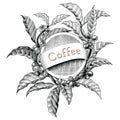 Coffee frame hand drawing vintage engraving illustration logo st Royalty Free Stock Photo