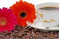 Coffee with gerbers Royalty Free Stock Photo