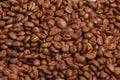 Coffee grain Royalty Free Stock Photo