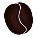 Coffee grain seed icon