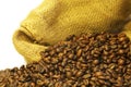 Coffee grains Royalty Free Stock Photo