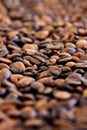 Coffee Grains Royalty Free Stock Photo
