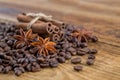 Coffee grains, anise and canella Royalty Free Stock Photo