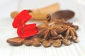 Coffee grains cinnamon sticks aroma drink background Royalty Free Stock Photo