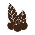 Coffee grains leaves nature silhouette icon style Royalty Free Stock Photo