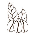 Coffee grains leaves organic nature line icon style Royalty Free Stock Photo