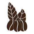 Coffee grains leaves organic nature silhouette icon style Royalty Free Stock Photo