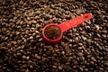 Coffee granules and seeds