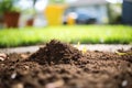 coffee grounds being used as a natural lawn fertilizer