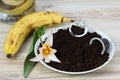 Coffee grounds from espresso coffee capsules and banana peels for better growing