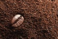 Coffee grounds, roasted bean and space Royalty Free Stock Photo