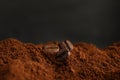 Coffee grounds and roasted beans on dark background, closeup Royalty Free Stock Photo