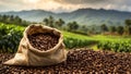 Coffee harvest plantation agriculture natural ecology