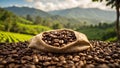 Coffee harvest plantation agriculture natural ecology growing