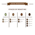 Coffee infographic. Stages of roasting. Flat style, vector illus