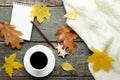 Coffee, knitted scarf and notebook