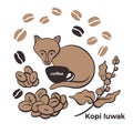 Coffee. Kopi luwak, civet. Set of bean