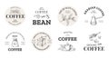Coffee logo. Vintage premium arabica label with hand drawn beans sack and mug for cafe and coffeeshop. Espresso menu emblem with