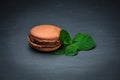 Coffee Macaroon with mint leaves on grey slate