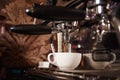 Coffee machine in a cafe pours fresh espresso