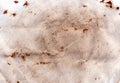 Coffee mess background. Old shabby, aged and worn paper Royalty Free Stock Photo