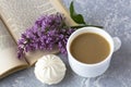 Coffee with milk and marshmallows. Reading a book in the garden with a cup of coffee. Romantic still life with lilac flowers Royalty Free Stock Photo