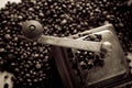 Coffee mill Royalty Free Stock Photo
