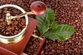 Coffee mill and coffee beans