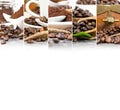 Coffee Mix Stripes Royalty Free Stock Photo