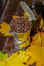Coffee in a moka pot with coffee beans and ground coffee on blur dark background Royalty Free Stock Photo