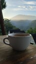 Coffee Mountain bogor Royalty Free Stock Photo