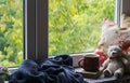 Coffee mug, book, Teddy bear, pillows and a plaid on the light wooden surface against window with rainy day view. Vintage style.