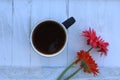 Coffee Mug with two Gerbera Daisy flowers Royalty Free Stock Photo
