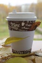 Coffee in a paper cup on a table in fallen foliage