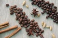 Coffee and peaberry scattered with spices Royalty Free Stock Photo