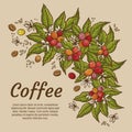 Engraving coffee plants, vintage decorative leaves and coffee cherries