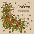 Engraving coffee plants, vintage decorative leaves and coffee cherries