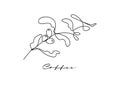 Coffee plant single line on white background. Outline minimal drawing.