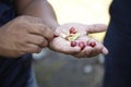 Coffee Plantation, Boquete, Panama3