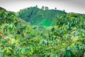 Coffee Plantation in Jerico Colombia Royalty Free Stock Photo