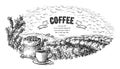Coffee plantation landscape bag bush and cup in graphic style hand-drawn vector