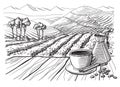 Coffee plantation landscape