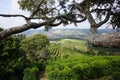 Coffee plantation in the rural town of Carmo de Minas Brazil Royalty Free Stock Photo