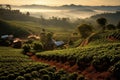 Coffee plantation sunset. Generate Ai