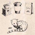 Coffee production hand drawn beans vintage drawing drink retro cafe collection sketch dessert vector illustration.