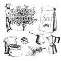 Coffee production hand drawn farmer picking beans on tree and vintage drawing drink retro cafe collection sketch dessert