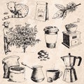 Coffee production hand drawn farmer picking beans on tree and vintage drawing drink retro cafe collection sketch dessert