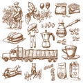 Coffee production vector plantation farmer picking coffeine beans on tree and vintage drawing drink retro cafe