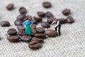 Coffee professional or expertise concept, miniature people figurine worker standing with roasted coffee beans on gunny bag,